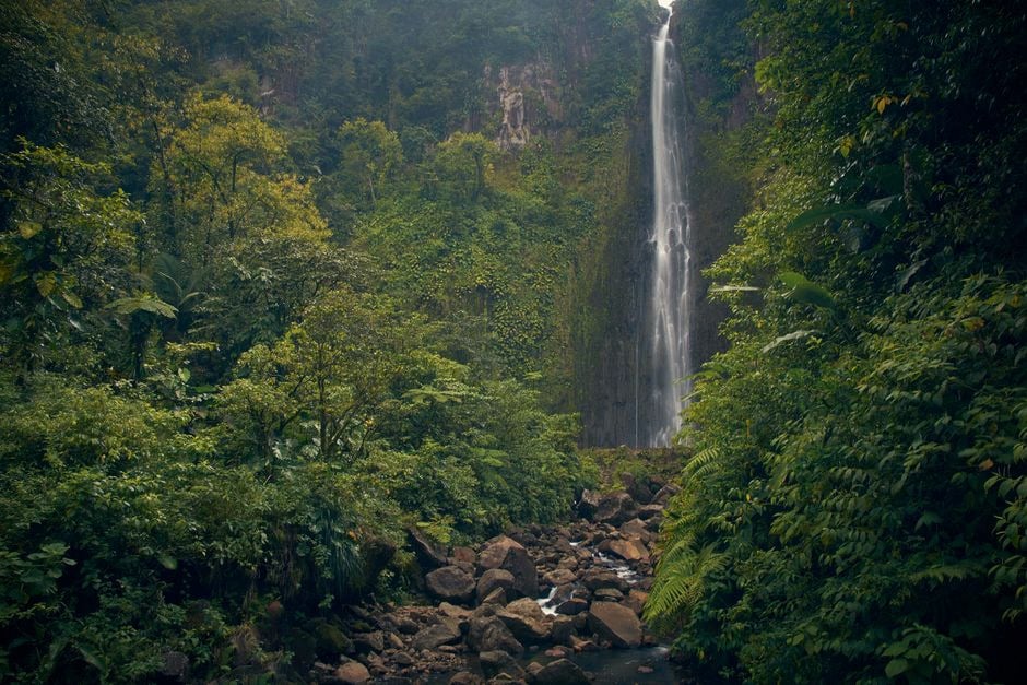 Canalisation vétuste responsable de pertes d’eau en Guadeloupe