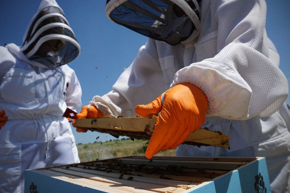 Techniciens inspectant le projet solaire Lubio au Texas