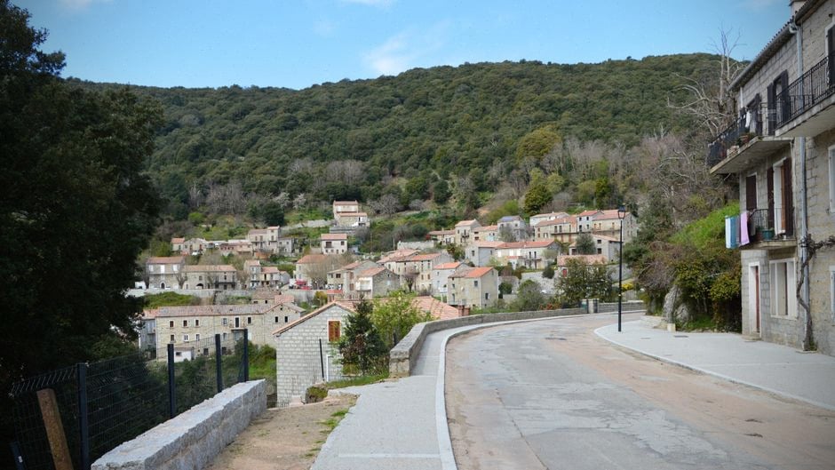 Habitants corses consultant une collecte participative solaire locale